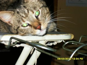 Bild 5 025 [800x600].jpg