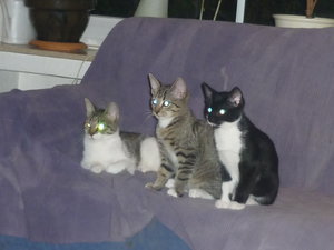 So26.09.2010 (4).jpg