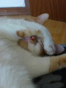 Mach das Licht aus.jpg