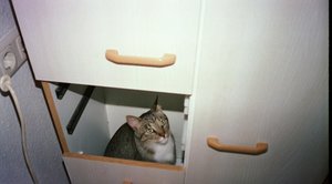 Bild 5 005 [800x600].jpg