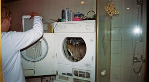 Bild 5 004 [800x600].jpg