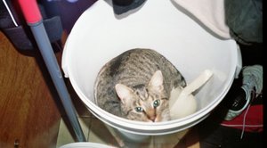 Bild 5 021 [800x600].jpg