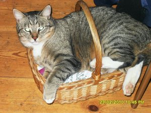 Bild 2 036 [800x600].jpg