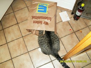 Bild 2 046 [800x600].jpg