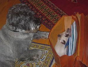 minas 18-9-04 022.jpg