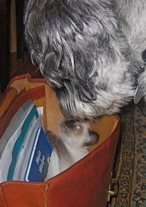 minas 18-9-04 013.jpg