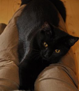 Kopie von _DSC0316.JPG