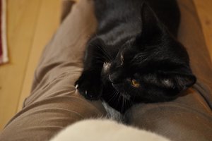 Kopie von _DSC0323.JPG