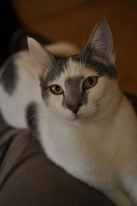 Kopie von _DSC0376.JPG