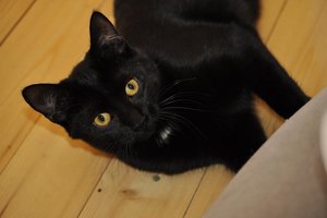 Kopie von _DSC0292.JPG