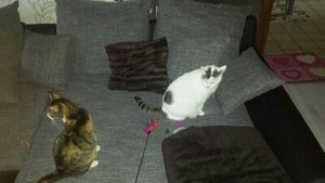 spielen , mit der ....NIEMALS.jpg