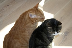 Hector und Anuschka.jpg