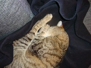 DSC00690 (Medium).JPG