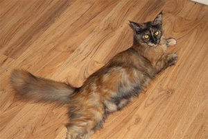 IMG_1620 (Medium).JPG