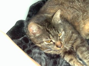 PIC00039 (Medium).JPG