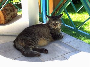 PIC00064 (Medium).JPG