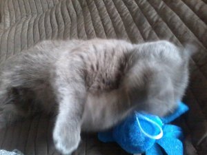 2013-10-21 11.25.37.jpg