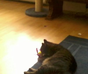 2013-10-21 11.17.41-1.jpg