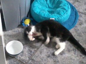 2013-10-21 11.29.54.jpg