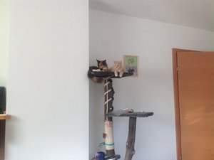 1396537_668275606529496_1409960070_n.jpg 1396537_668275606529496_1409960070_n.jpg