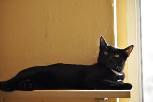 Kopie von _DSC0256.JPG