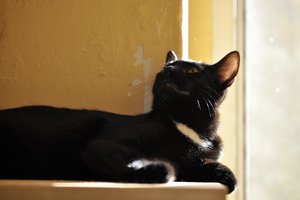 Kopie von _DSC0261.JPG