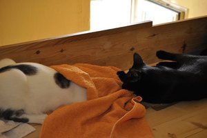 Kopie von _DSC0302.JPG