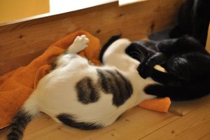 Kopie von _DSC0307.JPG