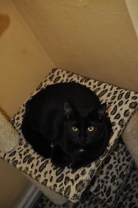 Kopie von _DSC0328.JPG