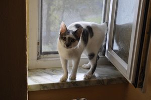 Kopie von _DSC0259.JPG