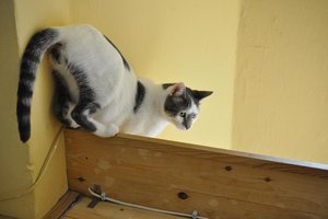 Kopie von _DSC0274.JPG