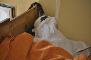 Kopie von _DSC0283.JPG