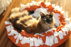 IMG_3093 (Large).JPG