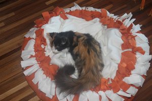 IMG_3094 (Large).JPG