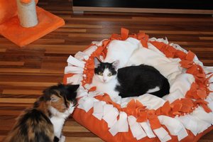 IMG_3103 (Large).JPG