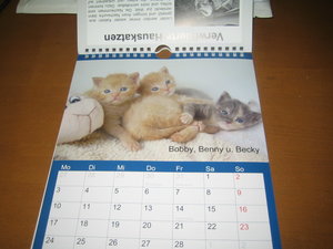 Kalender 2014 004.JPG