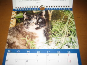 Kalender 2014 003.JPG