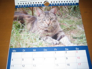 Kalender 2014 010.JPG