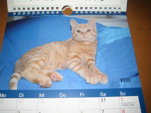 Kalender 2014 008.JPG