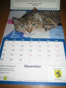 Kalender 2014 014.JPG