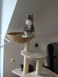 Pinky+Jacob 10.10.13 014.JPG