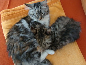 Pinky und Jacob 30.10.13 033.JPG