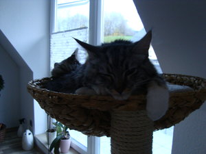 Pinky und Jacob 30.10.13 048.JPG