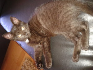 2013-08-02 11.54.59.jpg