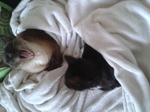 2013-09-18 17.11.39.jpg