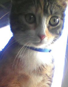 handy bilder 122.jpg