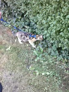 handy bilder 974.jpg