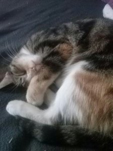 handy bilder 1049.jpg