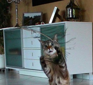 ImageUploadedByTapatalk1383421792.820902.jpg ImageUploadedByTapatalk1383421792.820902.jpg