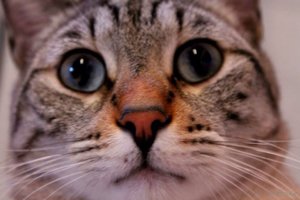 ImageUploadedByTapatalk1383422214.552228.jpg ImageUploadedByTapatalk1383422214.552228.jpg